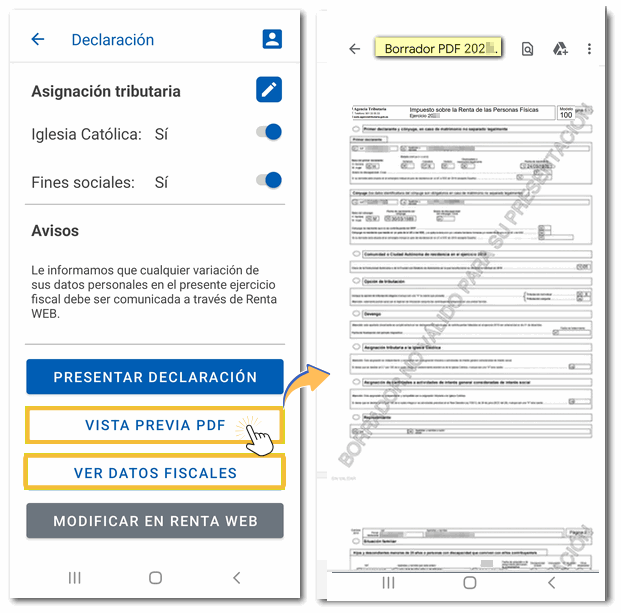 Vista previa de la declaración