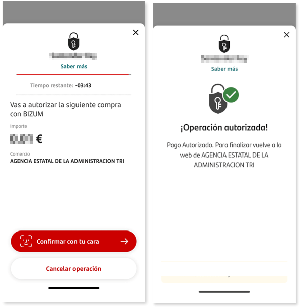 Notificaciones de Bizum