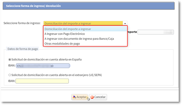 Opciones de pago